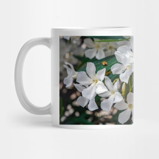 White Nerium oleander flowers Mug